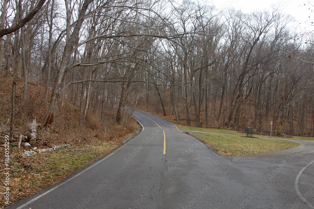 The empty road in to the winter forest on a cloudy day.