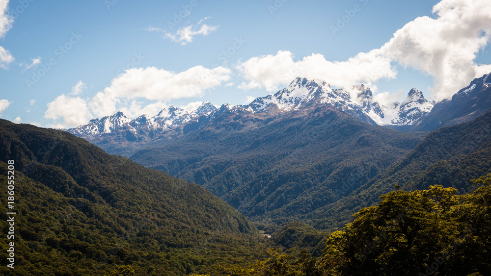 Obraz premium Fiordland New Zealand
