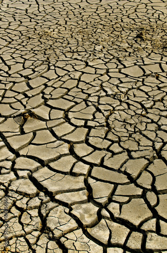 Aridity, dry and cracked ground.Surface of land without water. Abstract background. World water day.