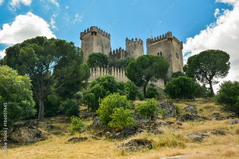 Castillo de Almodóvar del Río, Córdoba, Andalucía, España