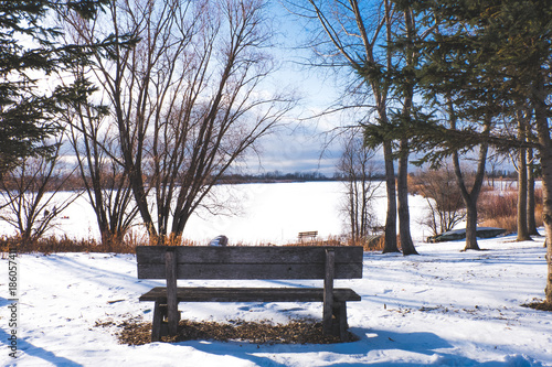 Winter View