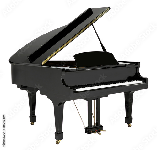 Tela Grand piano black with clipping path.