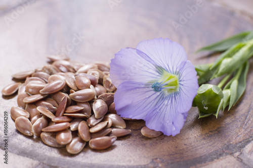 flaxseed with its flower on the kitchen table