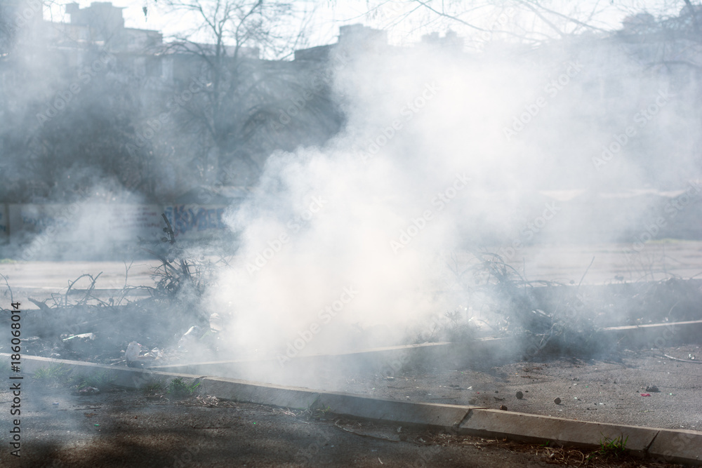 Fototapeta premium Incineration of garbage, environmental pollution