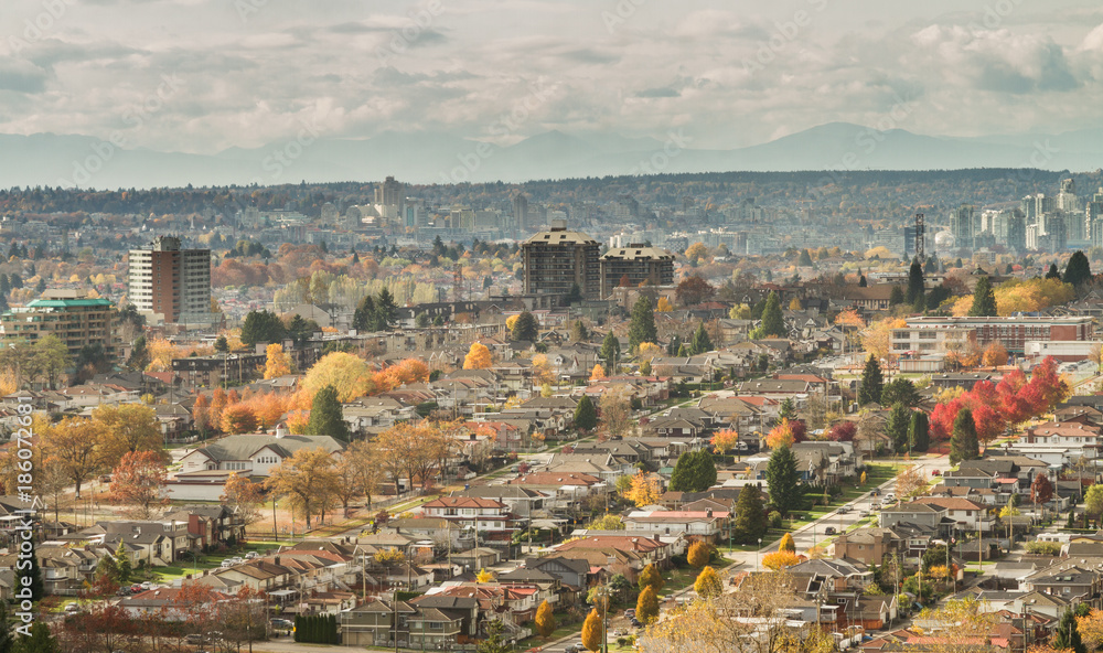 Residential area with vibrant fall color