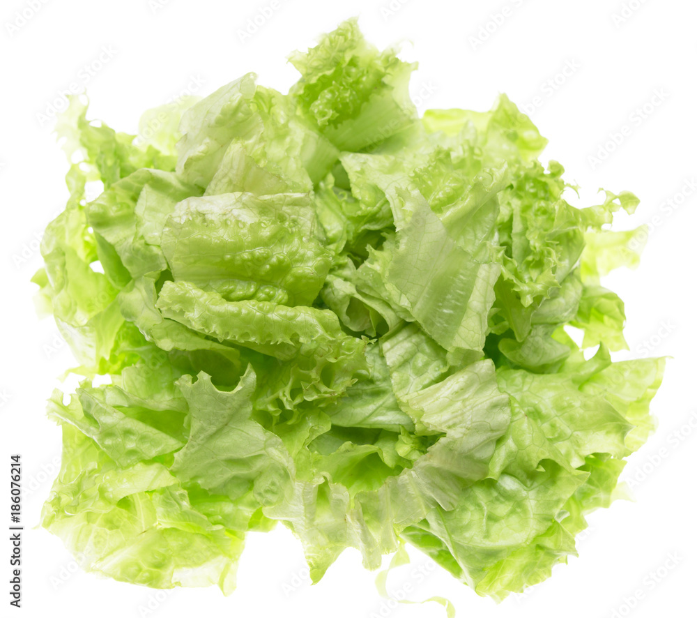 cut salad leaves on a white background cut salad leaves on a white background