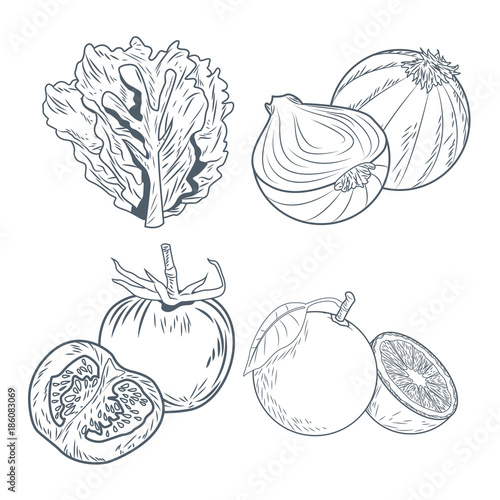 Lettuce onions tomatoes and oranges draw icon vector illustration graphic design