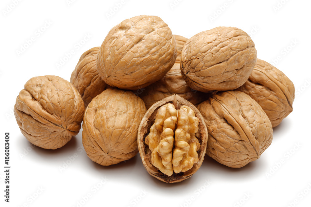 Walnut Walnut