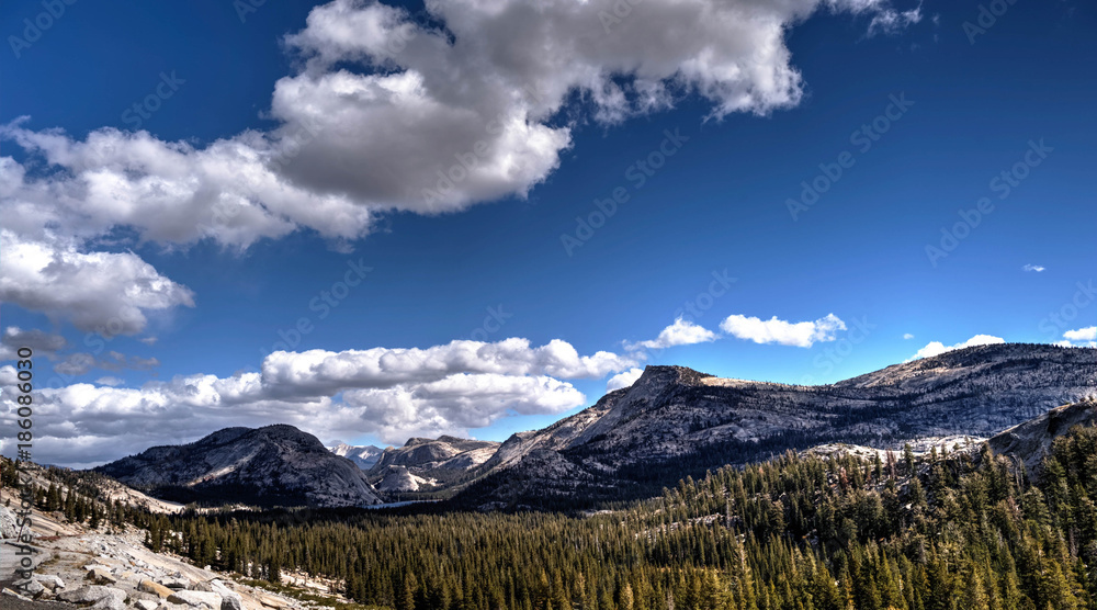 Fototapeta premium Tioga Pass 