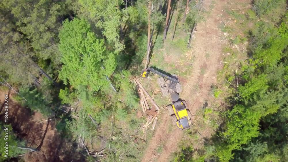 ProRes. Logging from aerial view, Siberian forest. ProRes. Logging from aerial view, Siberian forest.