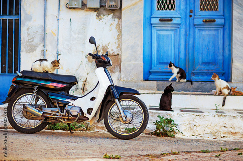Greece city landscape with bike and cats