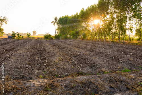 Φωτογραφία The field soil reclamation in preparation for seeding or planting
