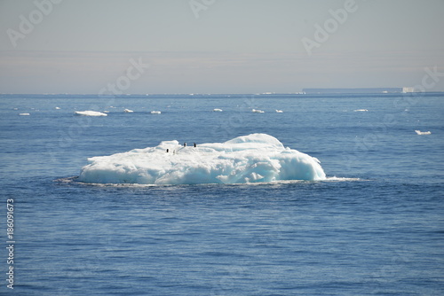 Ice shelf, Antarctica