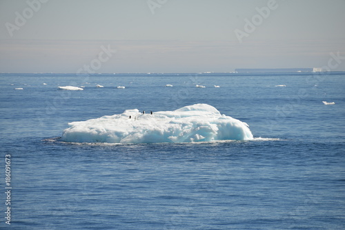 Ice shelf  Antarctica