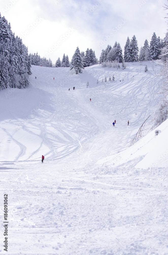 domaine skiable de saint pierre de chartreuse - piste de ski du planolet