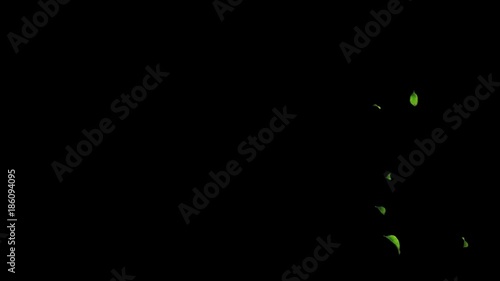 2 anims in clip of overlay green leaves: 1. Blowing by 2. Falling down. . . This short anim is perfect for games, apps, commercials, and marketing presentations. Transparency is embedded in video.