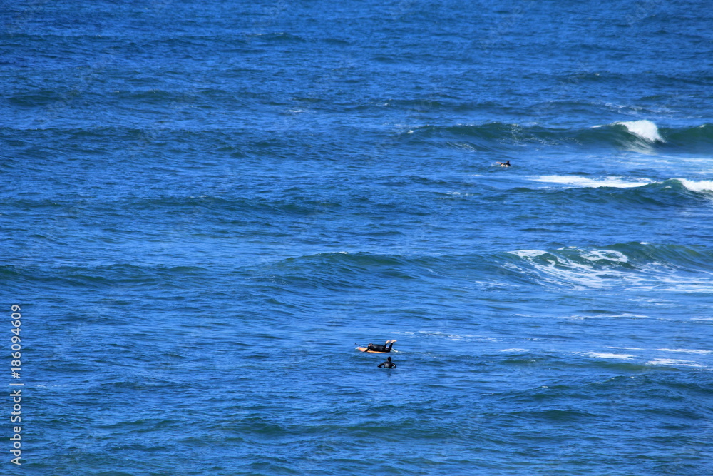 Obraz premium Australian ocean and surf