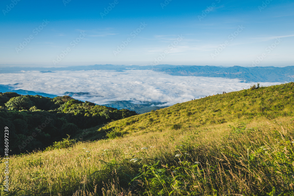 Kiew Mae Pan Nature Study at Doi Inthanon Kiew Mae Pan Nature Study at Doi Inthanon