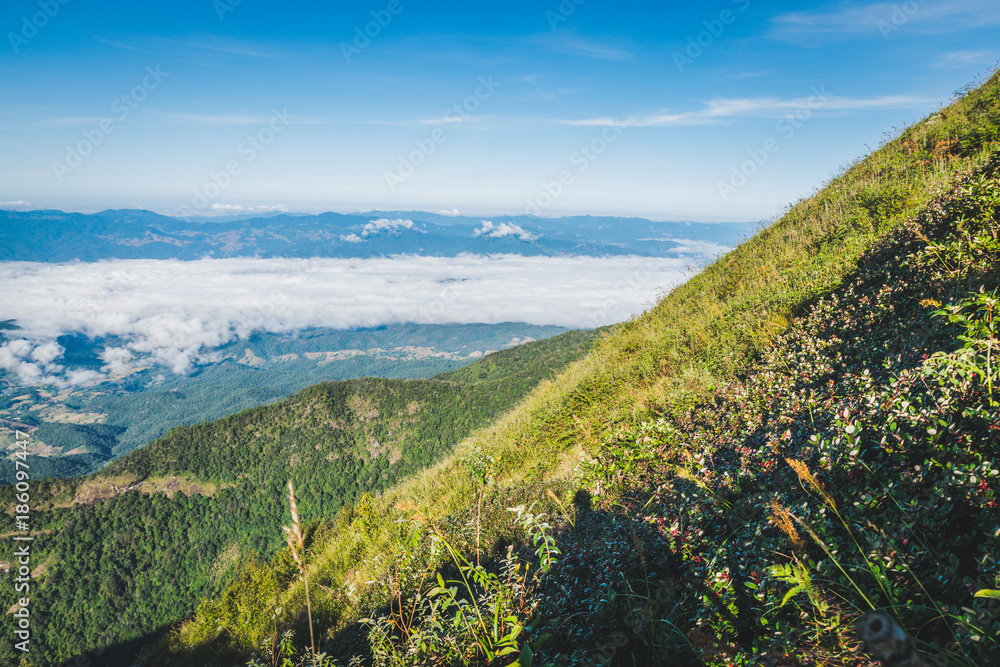 Fototapeta premium Kiew Mae Pan Nature Study at Doi Inthanon