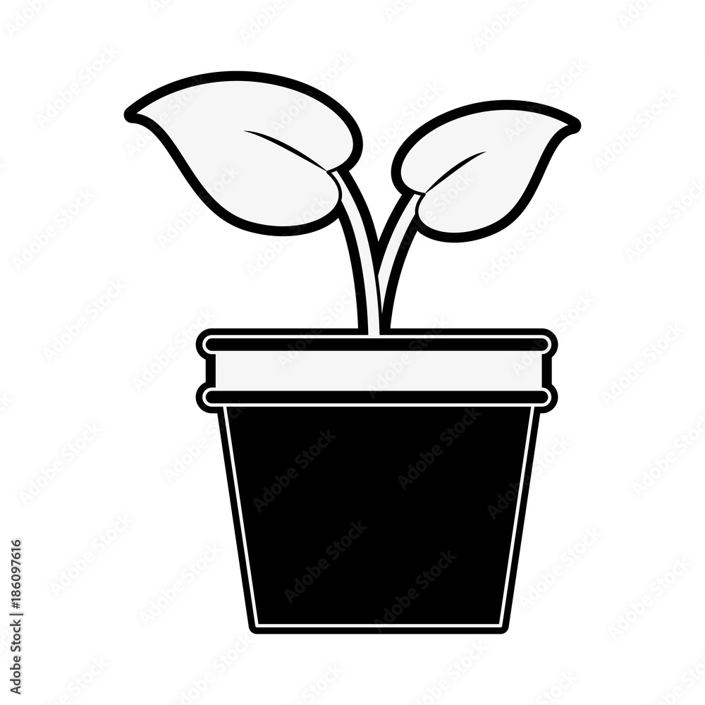 Plant in pot icon vector illustration graphic design Plant in pot icon vector illustration graphic design