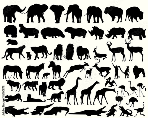 Photo Collection of different animals on a white background