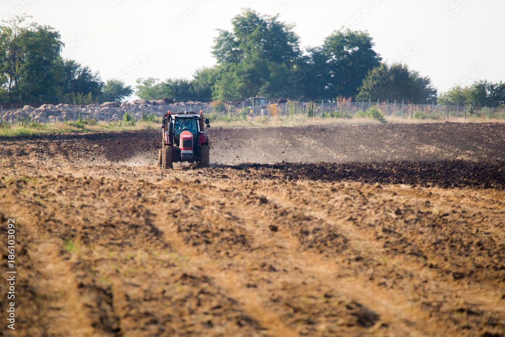 Fototapeta premium fertilizer cow fertilization with tractor and siding