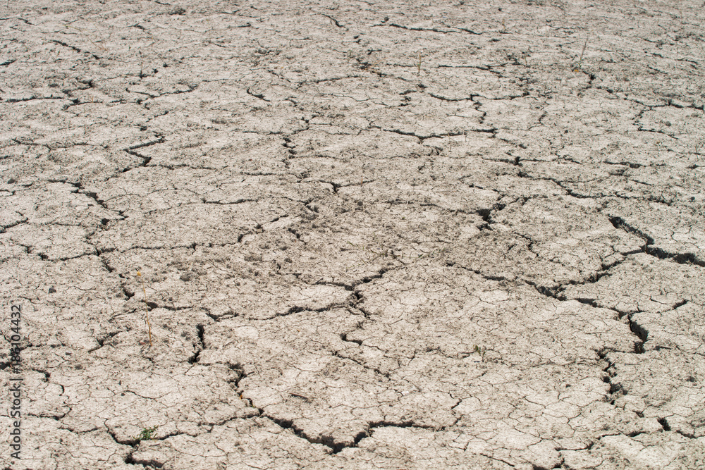 Fototapeta premium dry ground