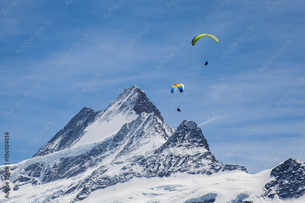 Gleitschirmflieger am Schreckhorn Gleitschirmflieger am Schreckhorn