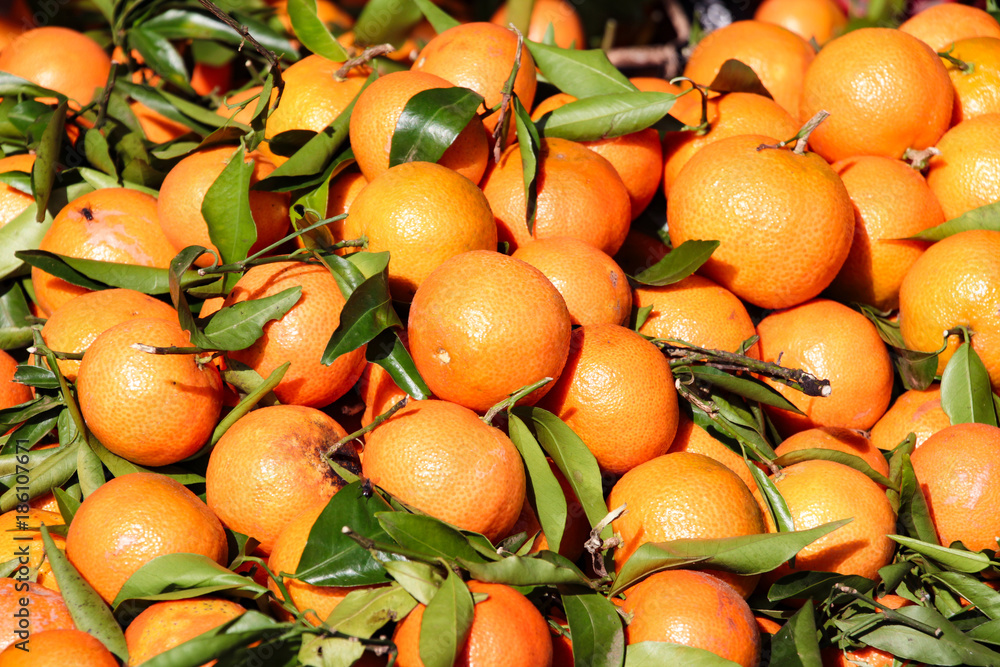 Natur Aufnahmen, Wüstenbilder, Dessert, Architektur und Gebäude in Africa
