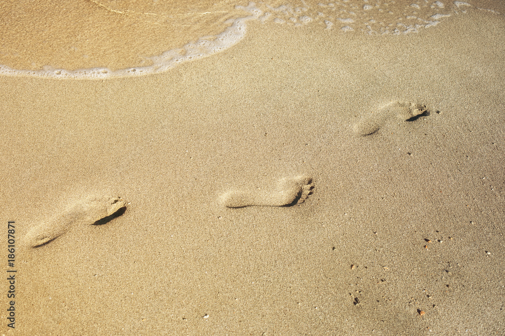 beach, wave and footsteps at sunset time
beach, wave and footsteps at sunset time