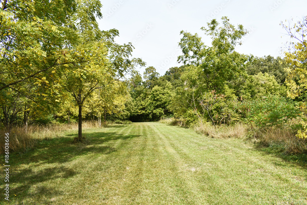Grassy Trail Grassy Trail