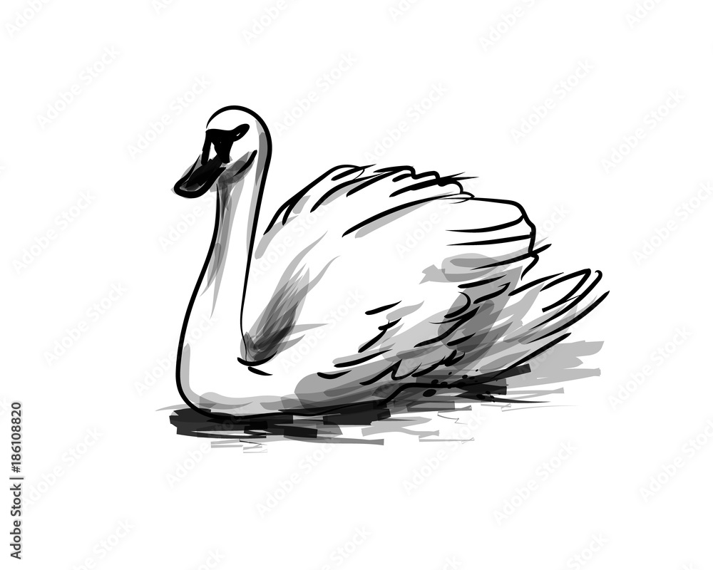 Obraz premium Vector ink sketch swan