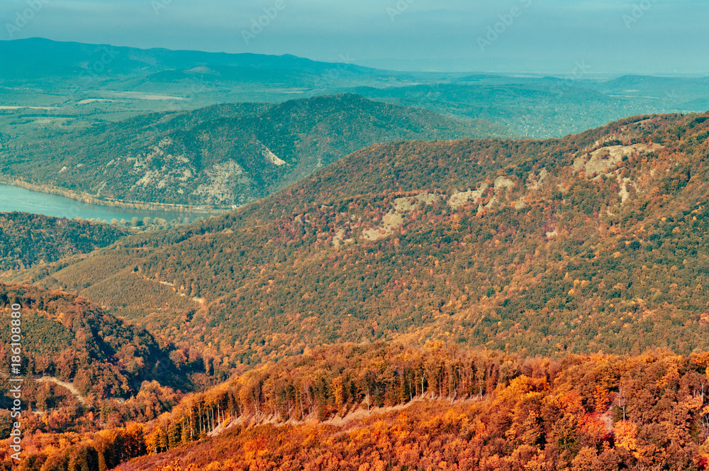 Autumn forest view in mountain, forest landscape