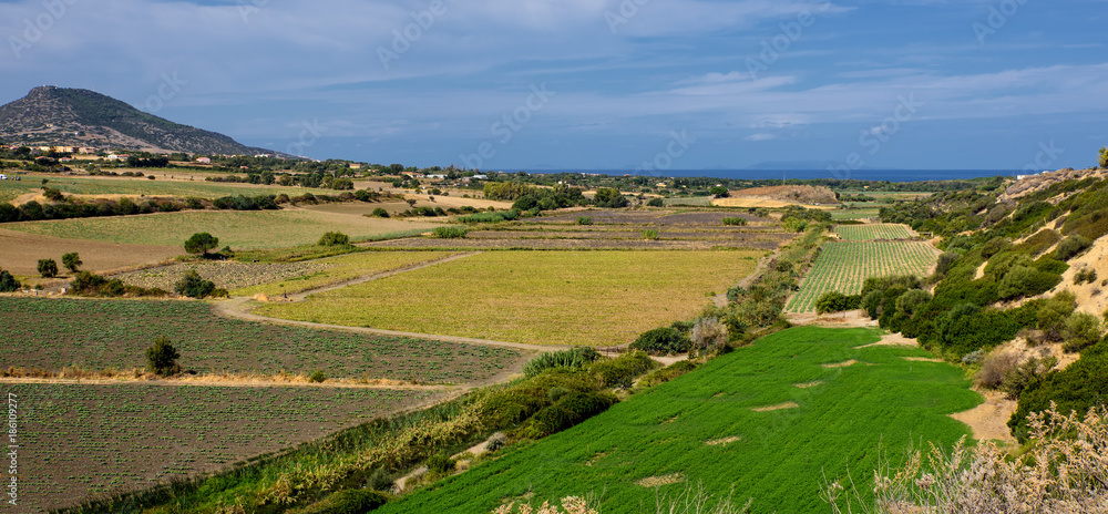 Sardinien Feld Wiese Natur