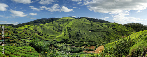 Photography view of hill in the area of Nuwara Eliya.,sri Lanka
