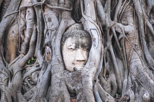 Closeup image of the buddha image inside the Bodhi tree roots in Ayutthaya , Thailand