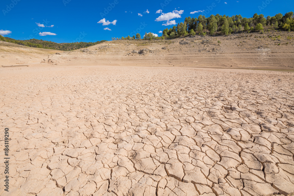 landscape of dry earth soil and trees in the horizon, in Entrepenas reservoir, in Guadalajara, Castilla, Spain Europe
landscape of dry earth soil and trees in the horizon, in Entrepenas reservoir, in Guadalajara, Castilla, Spain Europe