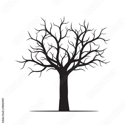Black Tree without Leaves. Vector Illustration.