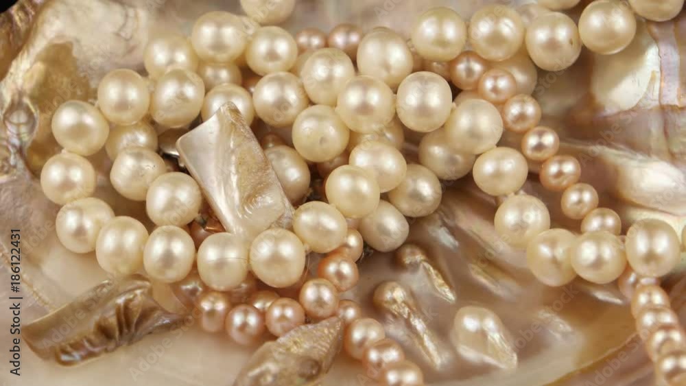 Beads of pearls lying in a seashell Beads of pearls lying in a seashell