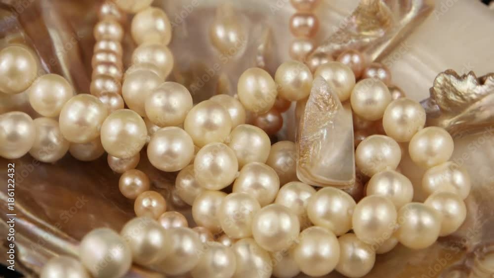 Beads of pearls lying in a seashell Beads of pearls lying in a seashell
