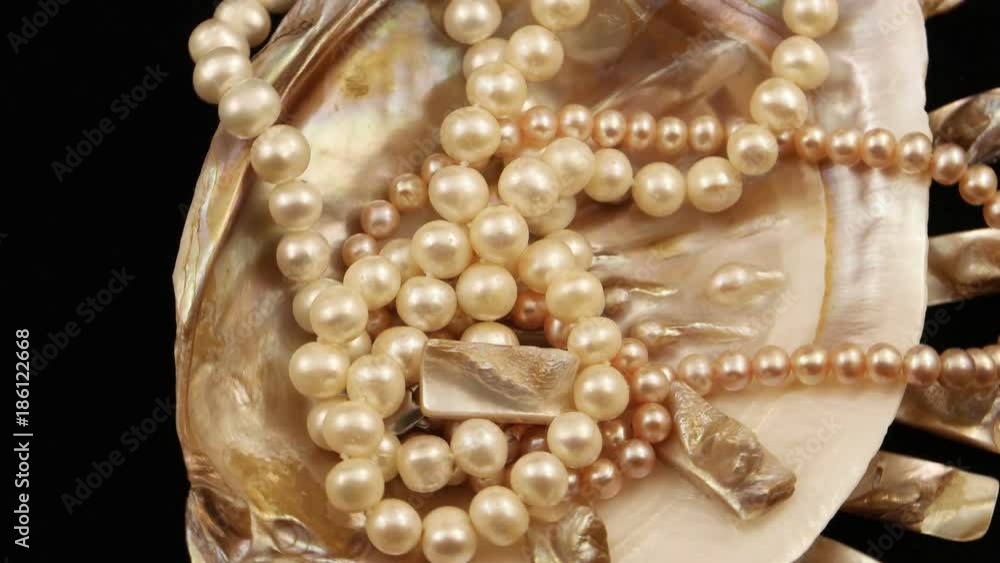 Beads of pearls lying in a seashell Beads of pearls lying in a seashell