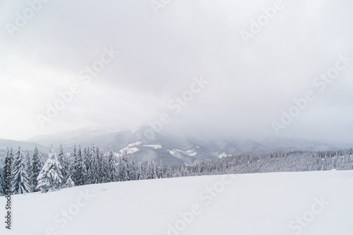 Winter mountains landscape with peak and snowy forest. © juhrozian