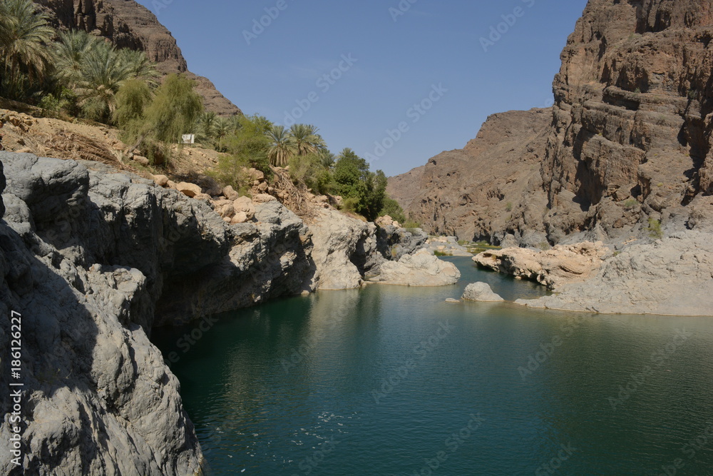 Wadi mit Wasser im Oman