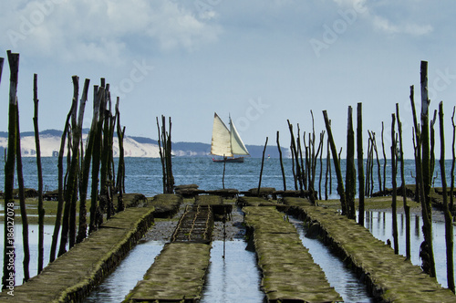 Parc à huitres
