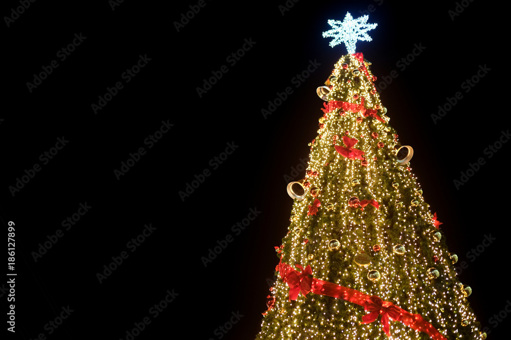 Obraz premium Christmas tree with lights