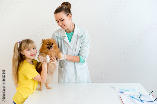 Dog with a vet