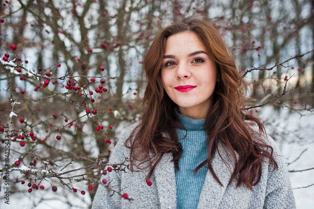 Close up portrait of gentle girl in gray coat near the branches of a snow-covered tree. Close up portrait of gentle girl in gray coat near the branches of a snow-covered tree.