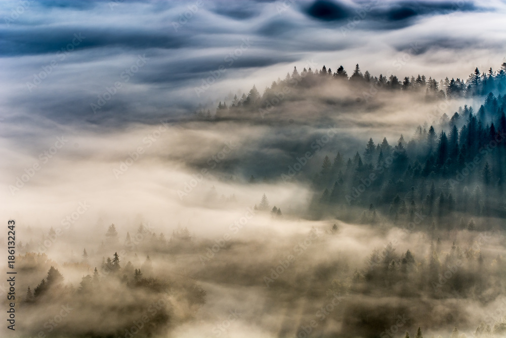 Jesienne poranne mgły ,Beskid Sądecki,Jaworzyna Krynicka