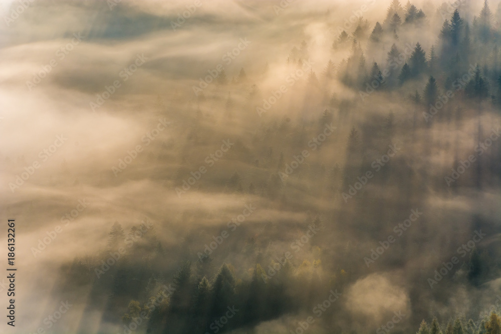 Jesienne poranne mgły ,Beskid Sądecki,Jaworzyna Krynicka Jesienne poranne mgły ,Beskid Sądecki,Jaworzyna Krynicka