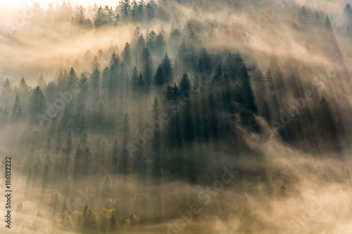 Jesienne  poranne mgły ,Beskid Sądecki,Jaworzyna Krynicka © Adam Olszowski